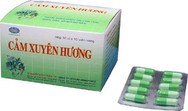 Cảm xuyên hương Yên Bái