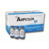 Ampicillin 1g