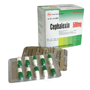 Cephalexin